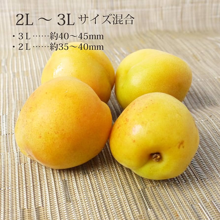 【準備中！】豊後梅　青森直送　常温発送 青森の完熟梅 [豊後梅ぶんごうめ] 2L～3Lサイズ混合